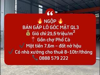 Lô góc mặt đường ql 3 21,5tr/m2 có sẵn cửa hàng cho thuê 10tr/th