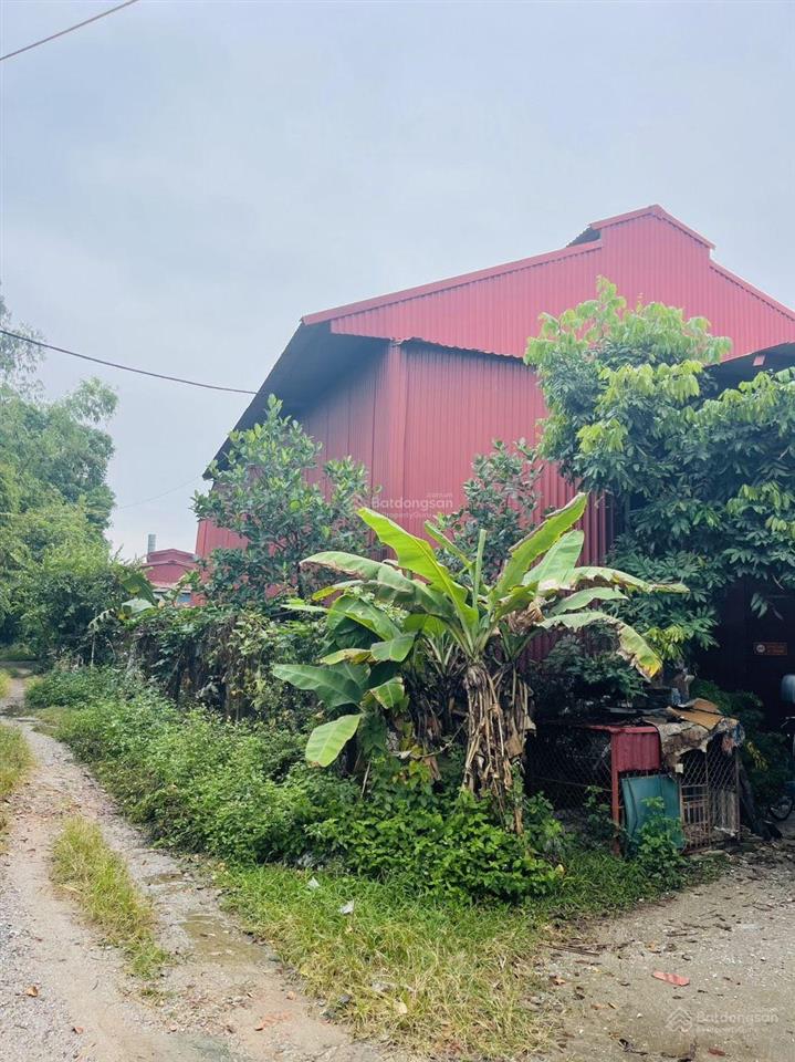 Chính chủ bán đất giãn dân 166m lô góc, sát khu dân cư, gần trường kim chân, bắc ninh, giá 4,x tỷ