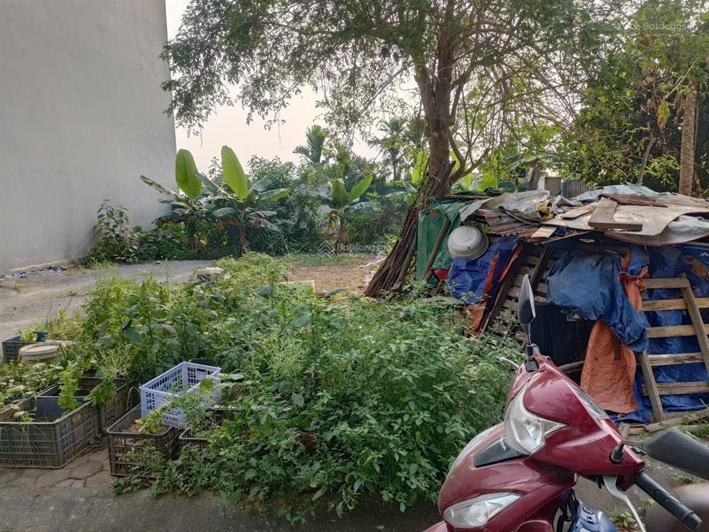 Lô góc ở kđg phúc tiến, biên giang 43m giá chỉ ngót nghét 6tỷ