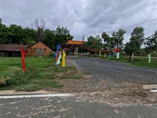 Bán nhà riêng tại đt 741, tân tiến, đồng phú, 295 triệu, 500m2