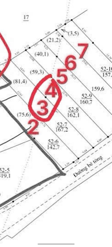 Đất mặt tiền đường betong cây duối diên an (đường thông)