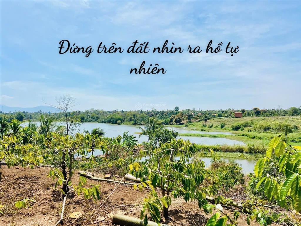 View hồ tự nhiên cư kuin sẵn thổ cư 400m2 giá hơn 2 tỷ chỉ còn 1 tỷ 799 triệu