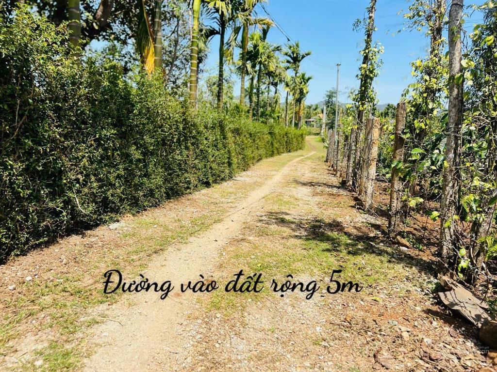 View hồ tự nhiên cư kuin sẵn thổ cư 400m2 giá hơn 2 tỷ chỉ còn 1 tỷ 799 triệu