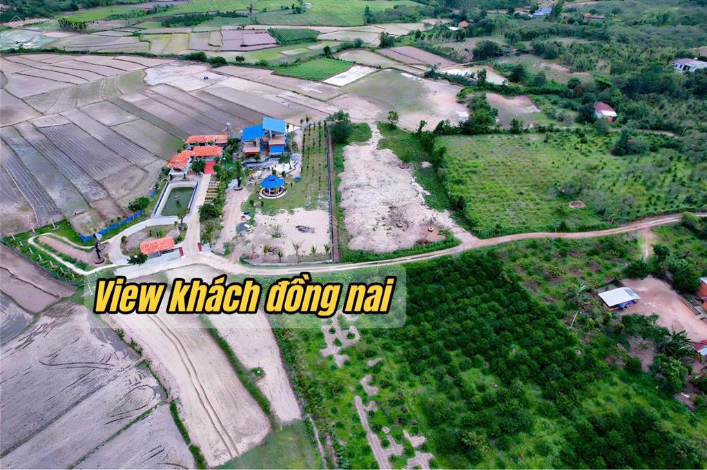 Vườn vải giá rẻ hơn 3000m2 chỉ 629tr tại eaning, đắk lắk