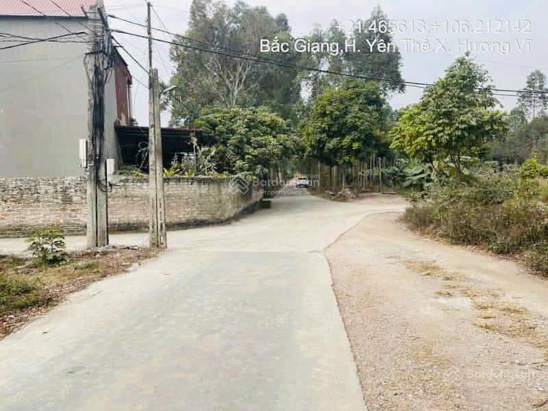 Đầu tư siêu hời lô đất 146m² hương vĩ, gần cầu bố hạ giá bán lẻ như buôn