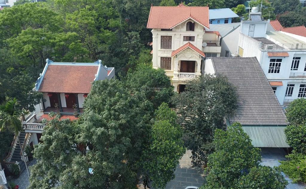 Cho thuê biệt thự sân vườn 488m² phụng châu phường chương mỹ
