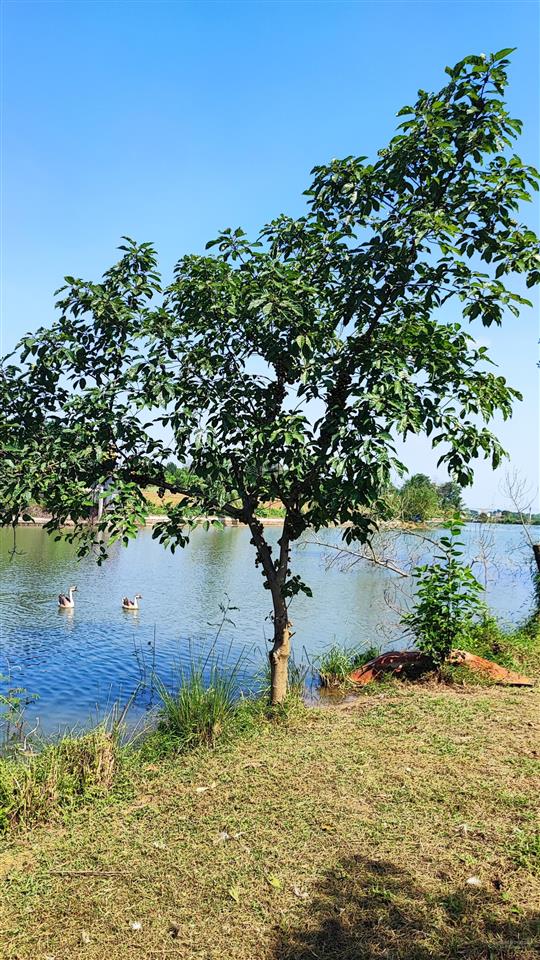Bán lô đất view hồ cực đẹp tại xã đoài phương