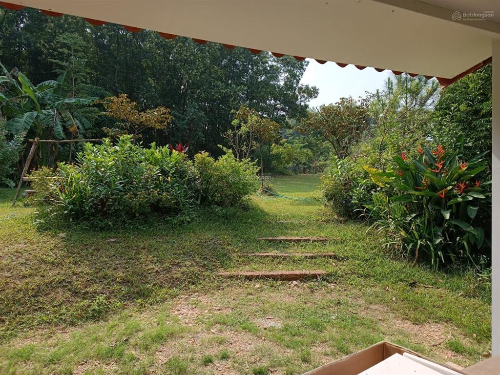 Bán lô đất view hồ cực đẹp tại xã đoài phương