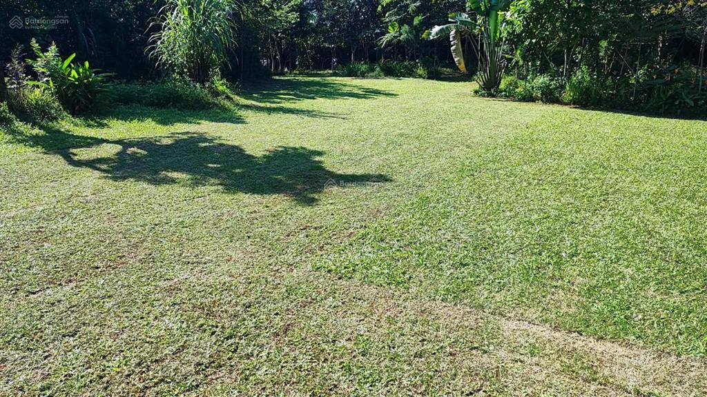 Bán lô đất view hồ cực đẹp tại xã đoài phương