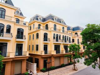 Giá rẻ bất ngờ chỉ 15 tỷ sở hữu ngay căn biệt thự song lập 150m2 tại trung tâm lõi ocean city