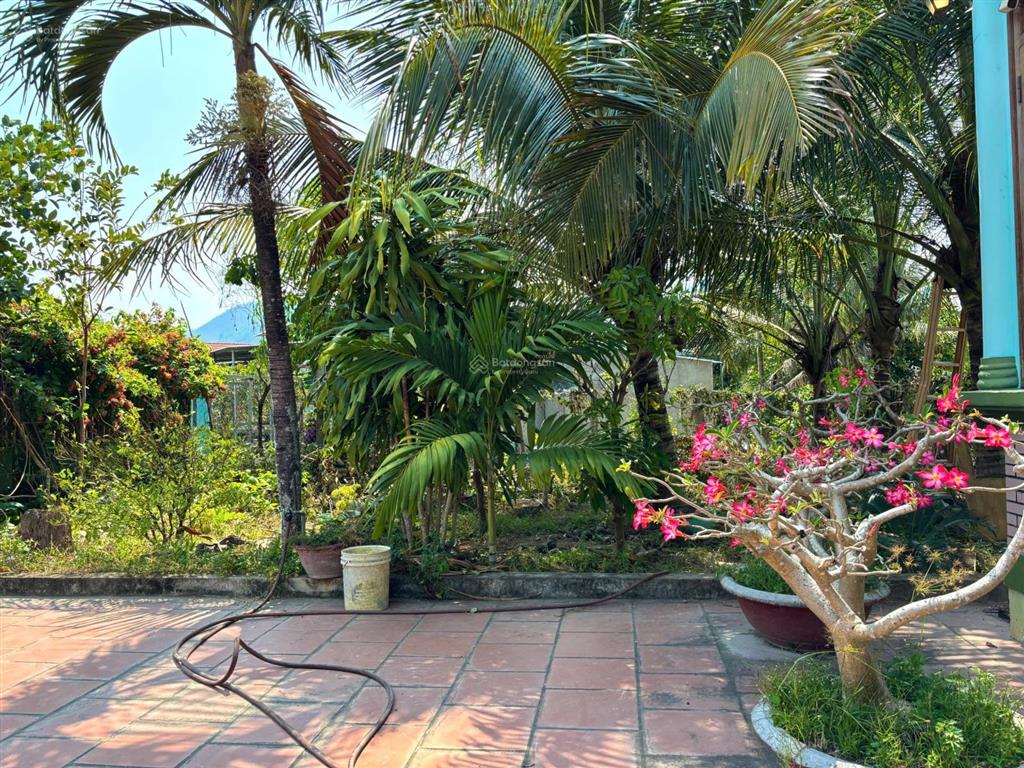 Nhà bán chính chủ  sân vườn rộng 543m2 3pn, sân lớn đậu 23 ô tô  diên tân, khánh hoà