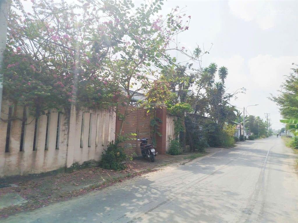 Bán nhà mặt tiền đường nhựa số 100a  100b trần văn hý, phường tân an, 420m (12x35), 100% thổ cư.