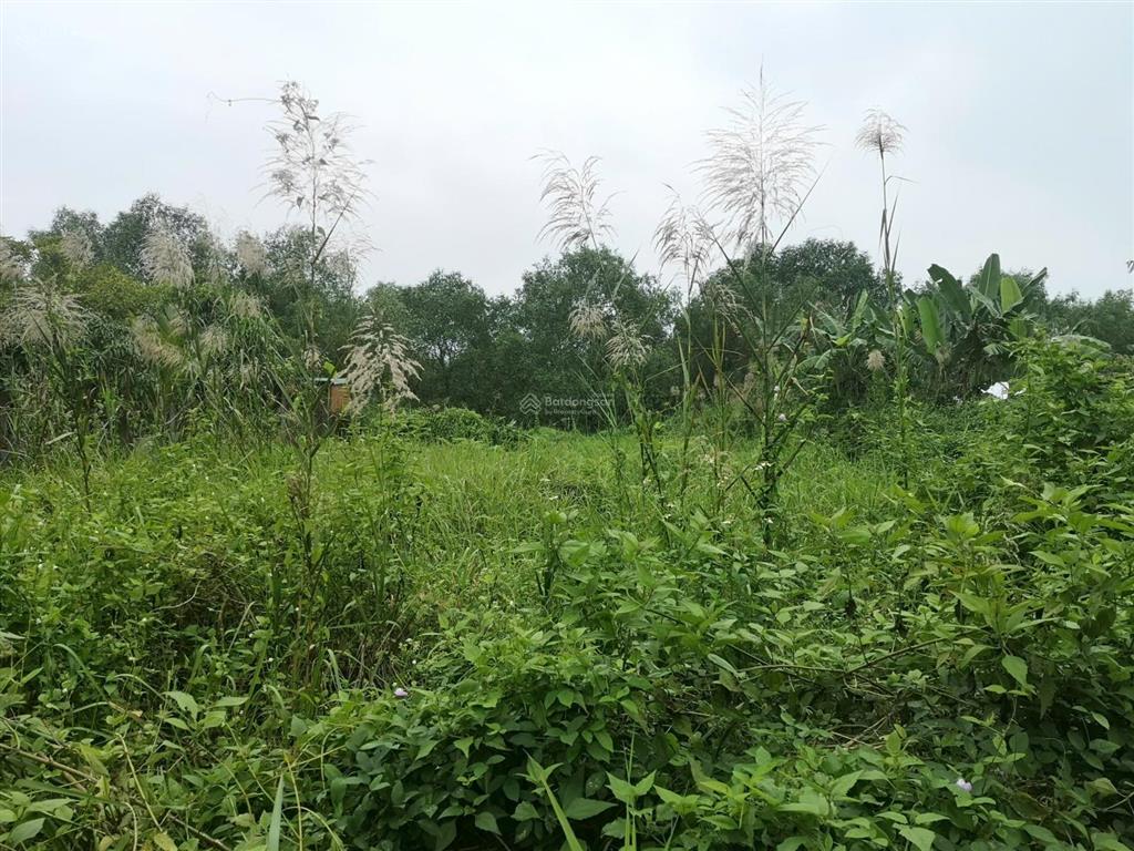 Bán nhanh đất nhà vườn giá rẻ khu nam tp.hcm