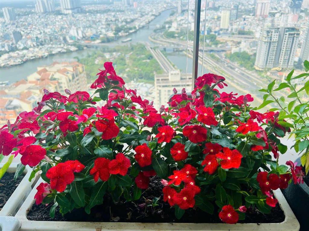 Tôi chính chủ cần bán căn hộ có nội thất đẹp nhất the goldview , không có căn thứ 2