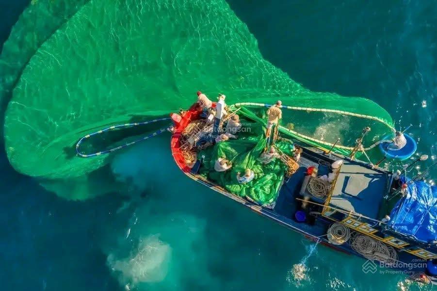 Bán lô 318 m mặt đường lý tự trọng, khu phố phú thọ 2, view biển