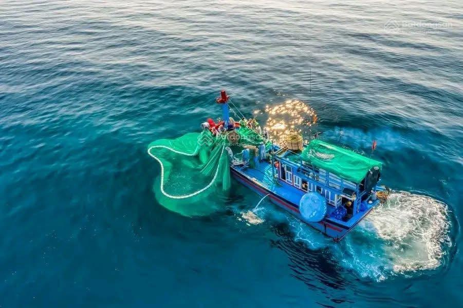 Bán lô 318 m mặt đường lý tự trọng, khu phố phú thọ 2, view biển