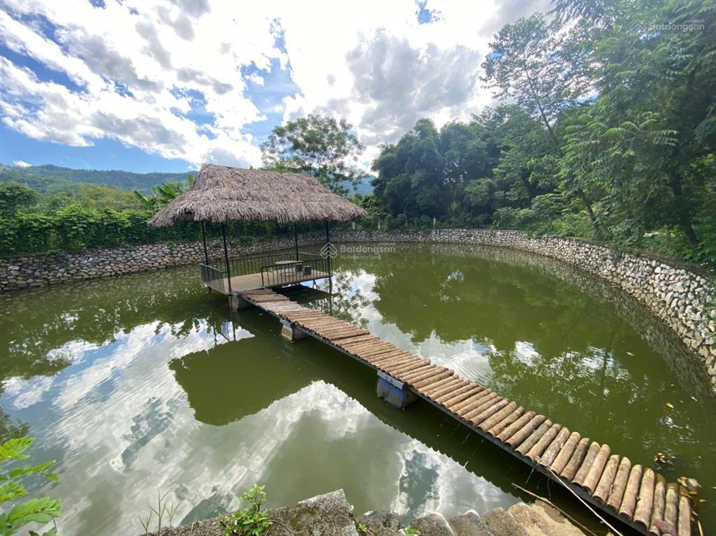 Cho thuê khu nghỉ dưỡng 1ha tại quốc oai làm dưỡng lão, homestay