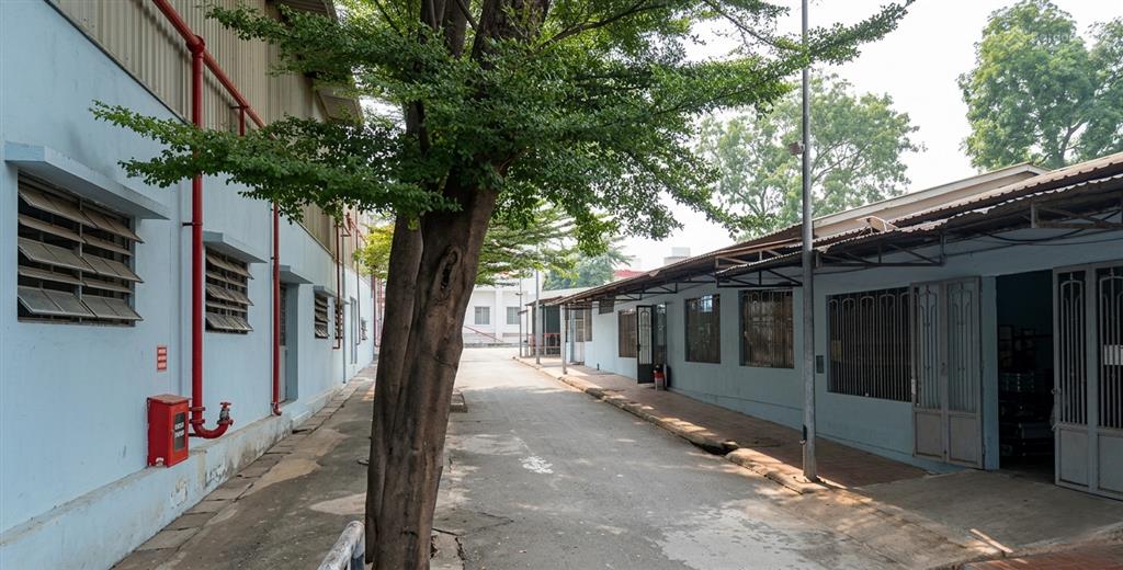 Cho thuê kho xưởng 1.6ha tại khu vực nam tân uyên, tp. bình dương