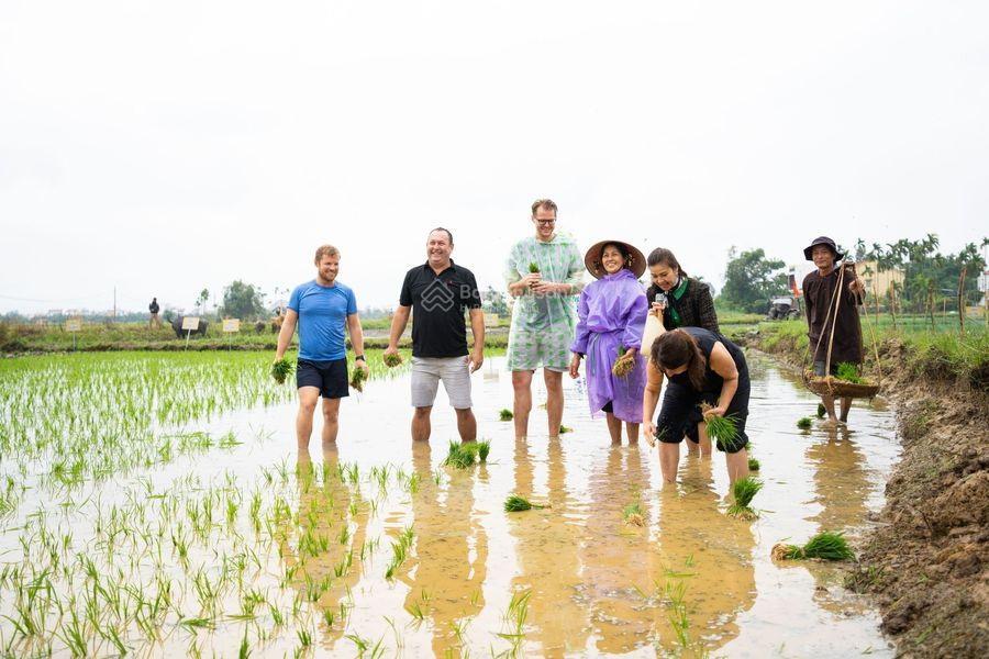 Sở hữu đất mặt tiền đường lê thánh tông  ngắm trọn đồng quê an mỹ ngay giữa lòng hội an (ms487)