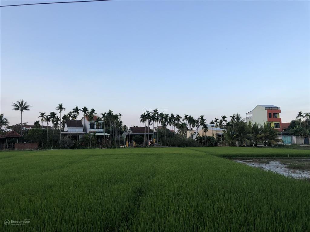 Bán đất khu vực tập trung nhiều villa, khách sạn tại hội an  cách chợ bà lê chỉ 500m (ms525)