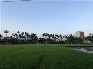 Bán đất khu vực tập trung nhiều villa, khách sạn tại hội an  cách chợ bà lê chỉ 500m (ms525)