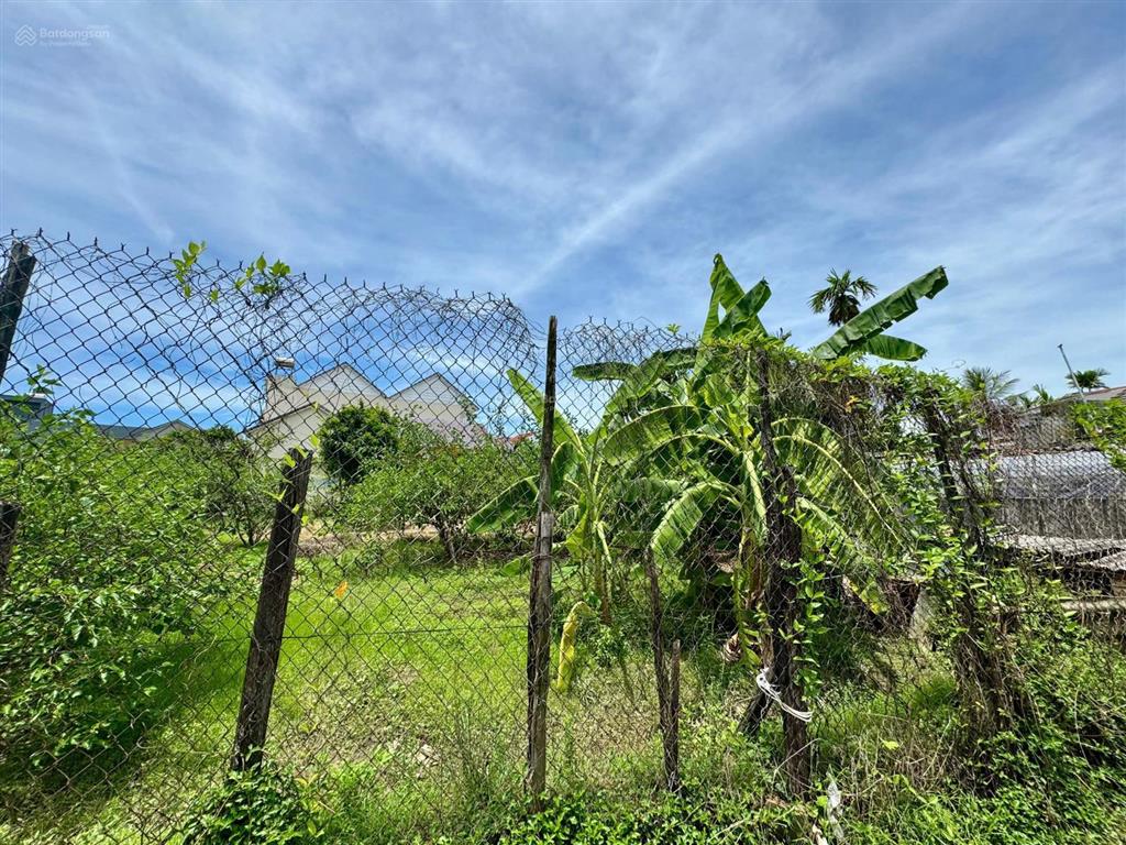 Bán đất gần cánh đồng lúa an mỹ  hội an  khu vực tập trung villa, homestay (ms529)