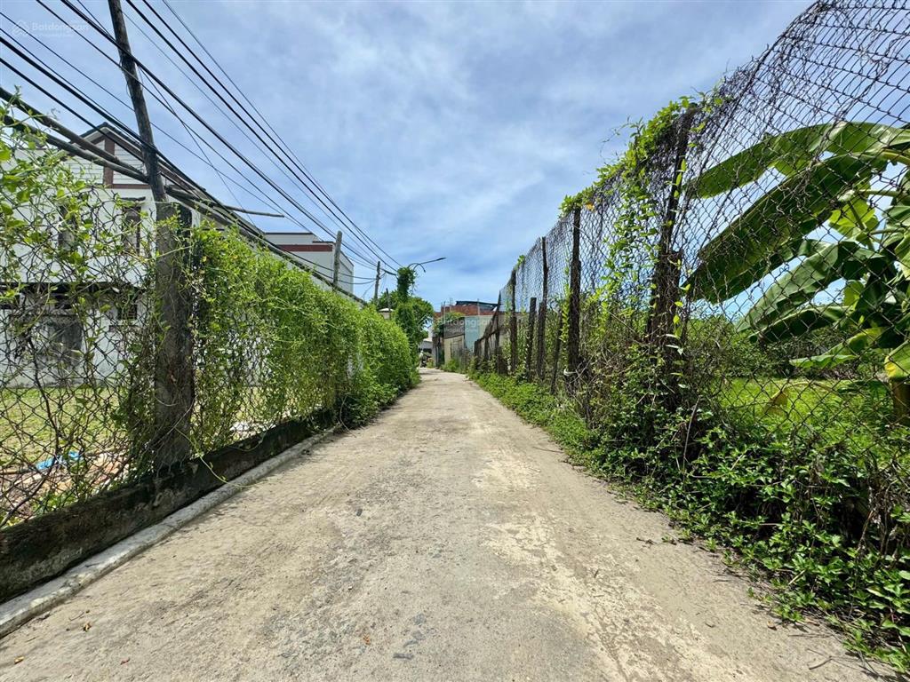 Bán đất gần cánh đồng lúa an mỹ  hội an  khu vực tập trung villa, homestay (ms529)