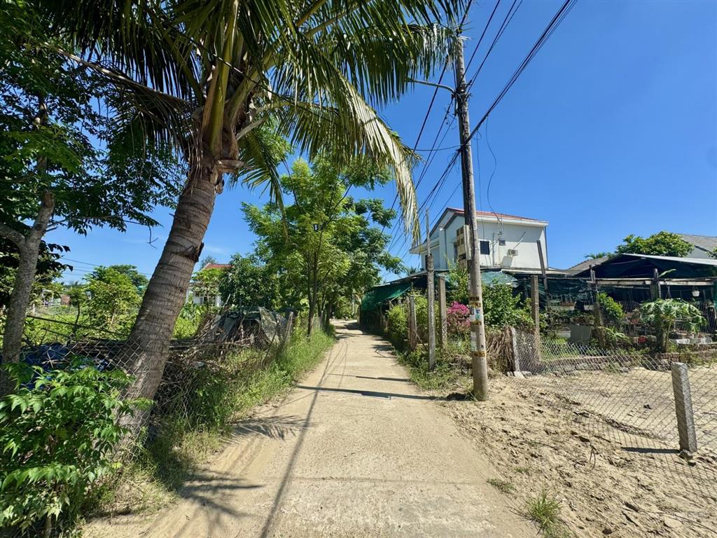 Bán đất gần cánh đồng lúa an mỹ  hội an  khu vực tập trung villa, homestay (ms529)