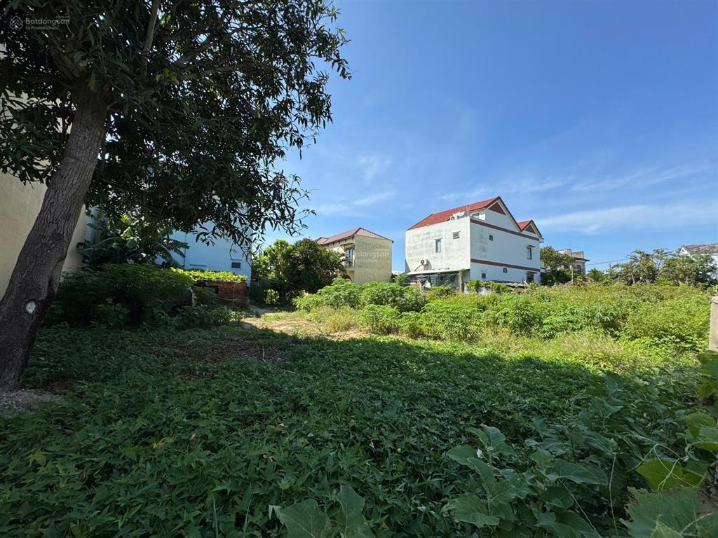 Bán đất gần cánh đồng lúa an mỹ  hội an  khu vực tập trung villa, homestay (ms529)