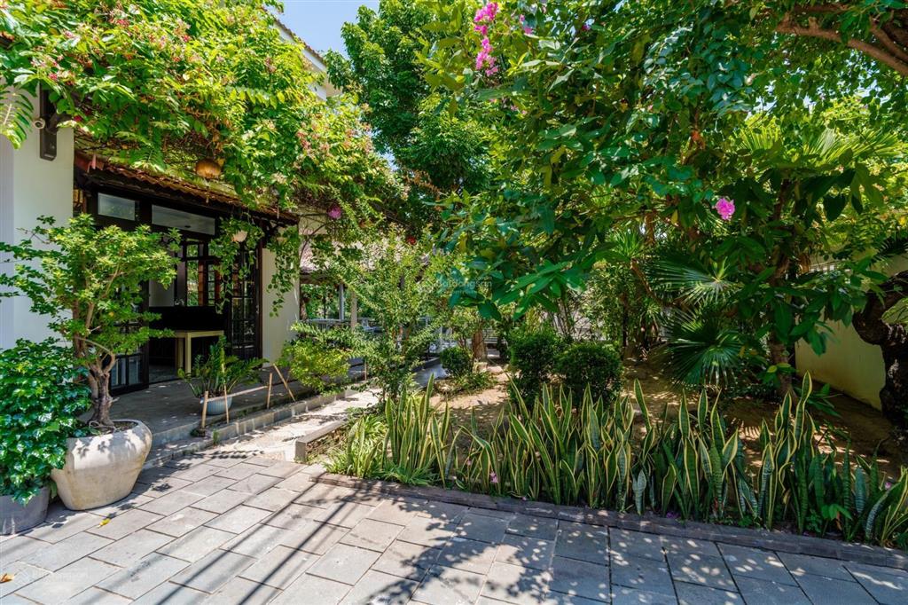 Bán villa view sông cẩm thanh quy mô lớn, khai thác du lịch ngay tại cẩm thanh (ms532)