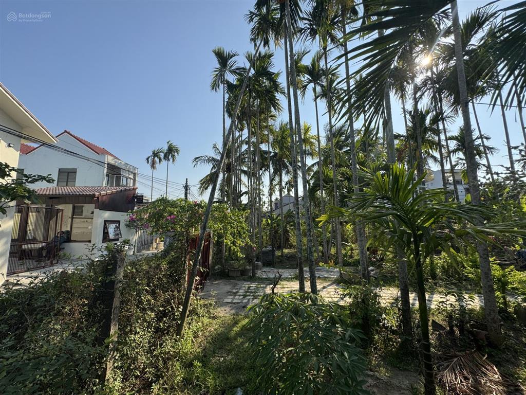 Bán đất tặng nhà cẩm thanh hội an  khu vực tập trung villa, homestay  đường thông thoáng (ms536)