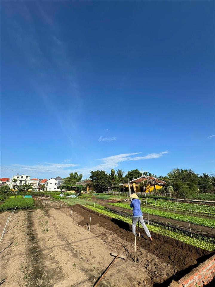 Không thể bỏ qua 1 lô đất 3 giá trị lô góc 2 mặt tiền view sông và view làng rau trà quế cực hiếm