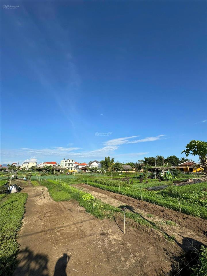 Bán lô đất mặt tiền view sông và view làng rau trà quế cực hiếm tại hội an  diện tích 100m cực đẹp