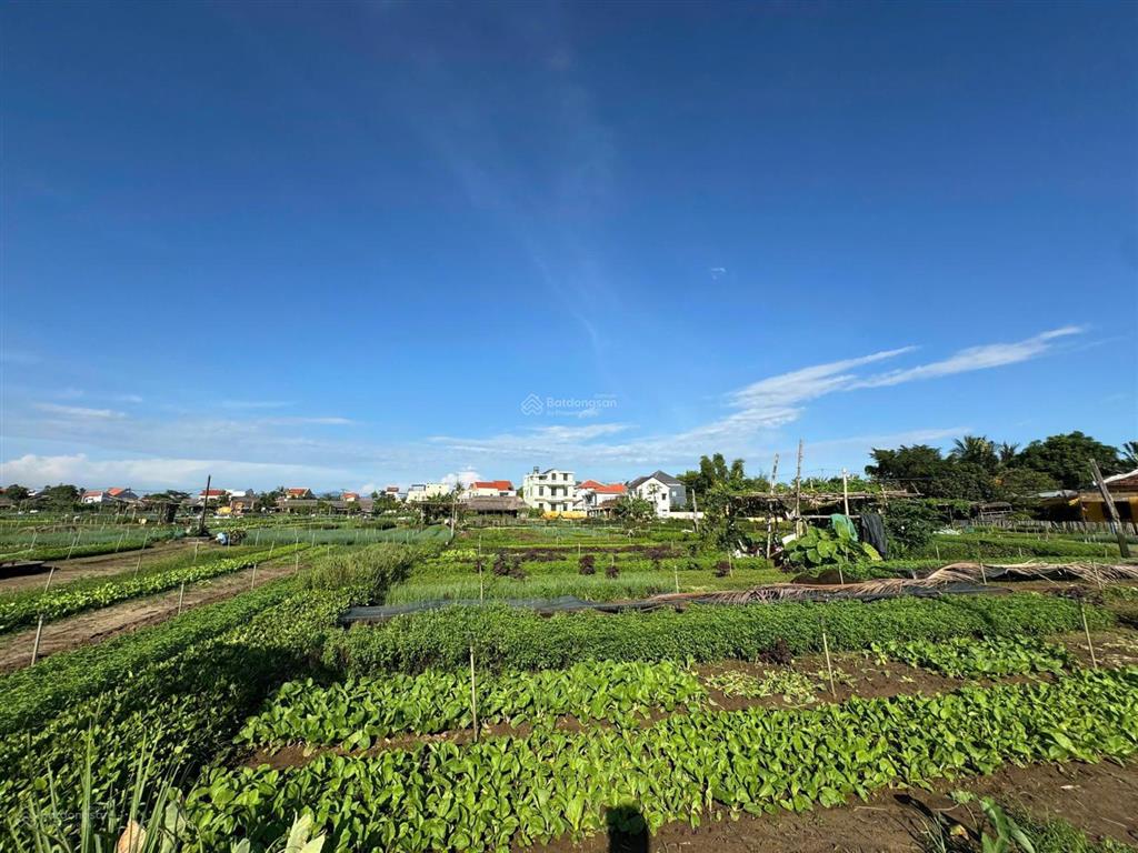Bán lô đất mặt tiền view sông và view làng rau trà quế cực hiếm tại hội an  diện tích 100m cực đẹp