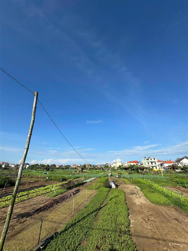 Bán lô đất mặt tiền view sông và view làng rau trà quế cực hiếm tại hội an  diện tích 100m cực đẹp