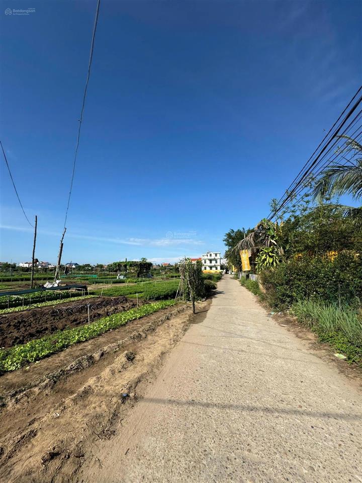 Hàng hiếm bán lô góc 2 mặt tiền view sông và view làng rau trà quế cực hiếm tại hội an
