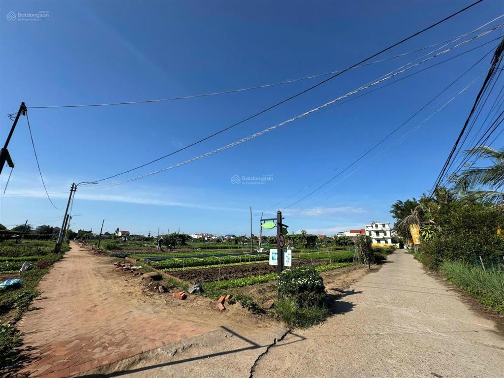 Hàng hiếm bán lô góc 2 mặt tiền view sông và view làng rau trà quế cực hiếm tại hội an