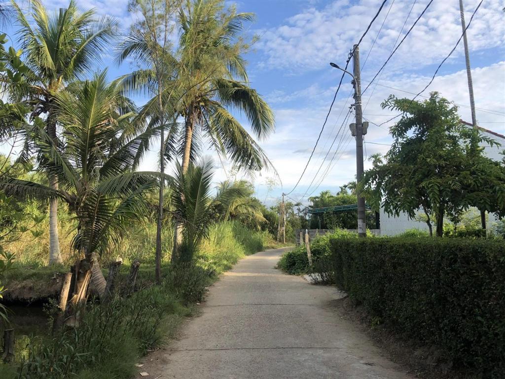Bán đất view dừa xanh mát làng cẩm thanh  hội an  diện tích 155m2  giá hợp lý (ms562)