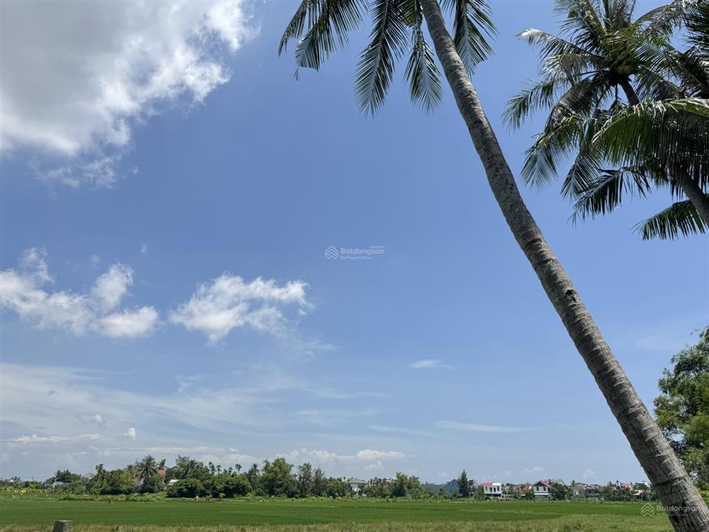 Hàng hiếm bán đất view lúa lên đến 55m  vị trí thích hợp cho nhà đầu tư du