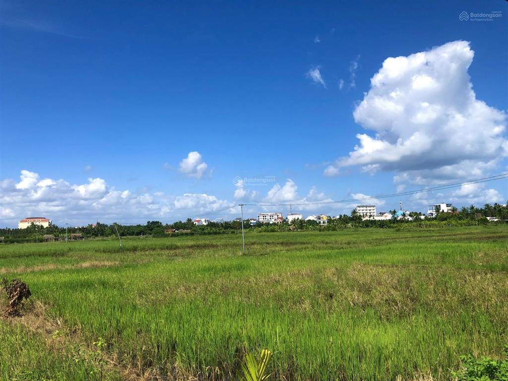 Hàng hiếm bán đất view lúa lên đến 55m  vị trí thích hợp cho nhà đầu tư du