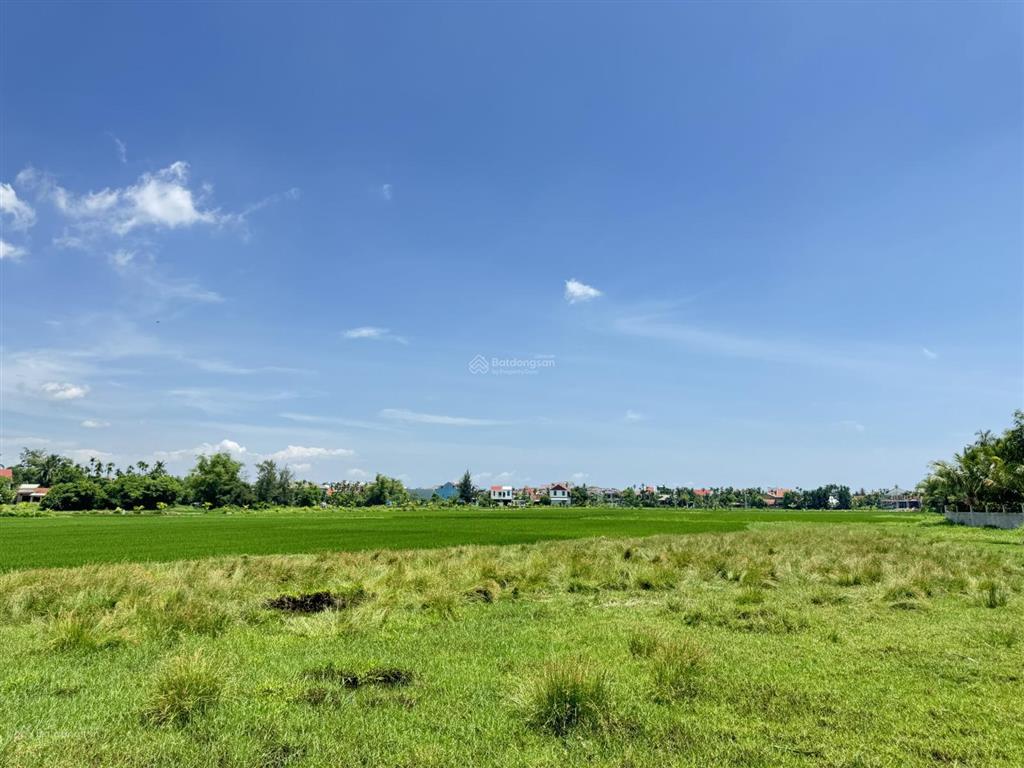 Hàng hiếm bán đất view lúa lên đến 55m  vị trí thích hợp cho nhà đầu tư du
