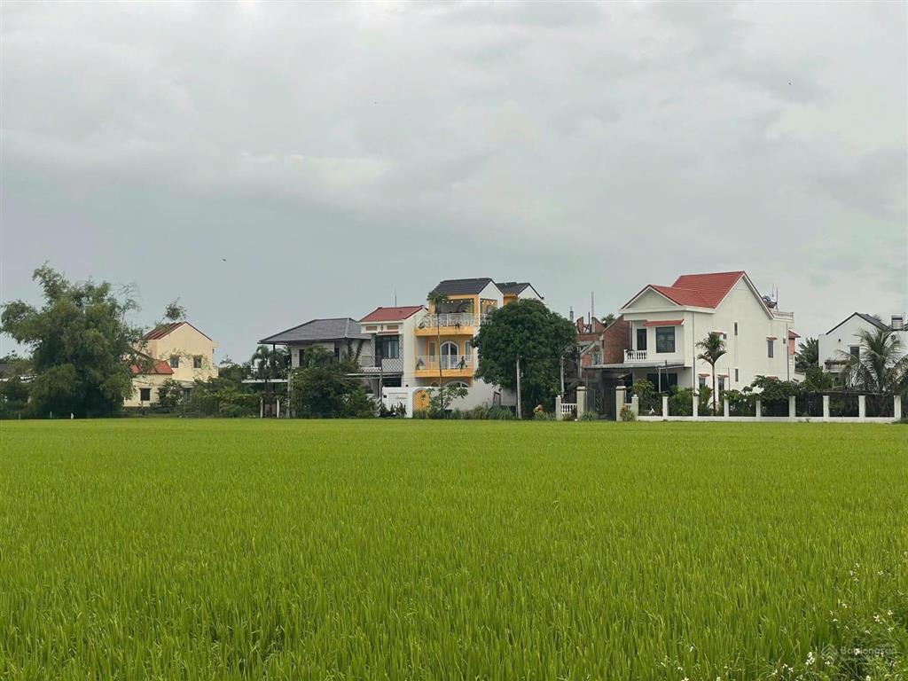 Bán villa view lúa an mỹ hội an không gian nghỉ dưỡng xanh, thoáng đẹp với hồ bơi riêng (ms550)