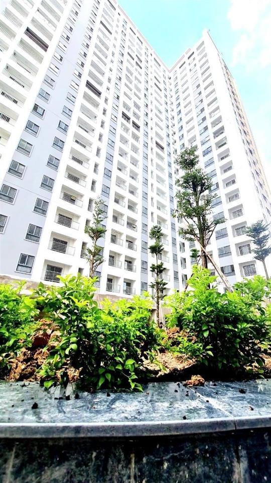 Bán căn hộ chung cư chính chủ tại iris tower, 1,23 tỷ, 45 m2