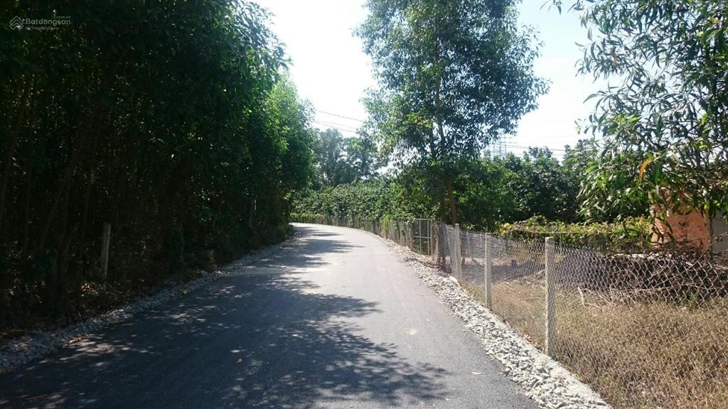 Bán đất vườn rộng (15x90m) 1390m2 tại ấp 1 xã thường tân, bắc tân uyên, bd