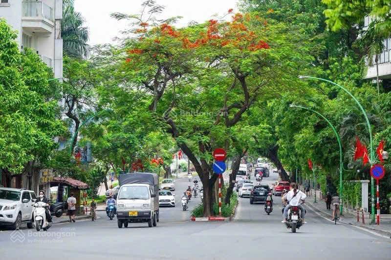 Vị trí vàng ba đình! mặt phố phó đức chính 75m²  6 tầng thang máy  kinh doanh. giá chỉ 50,5 tỷ