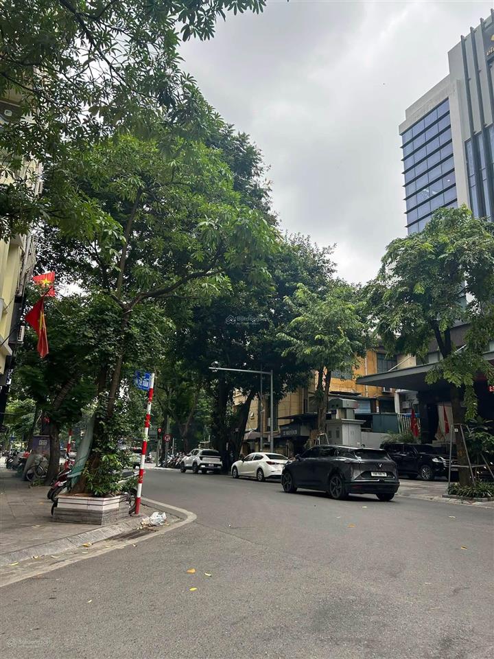 Mặt phố bùi thị xuân, dt 165m, mt 6,5m, nở hậu, giá 114 tỷ. phù hợp xây tòa building văn phòng.