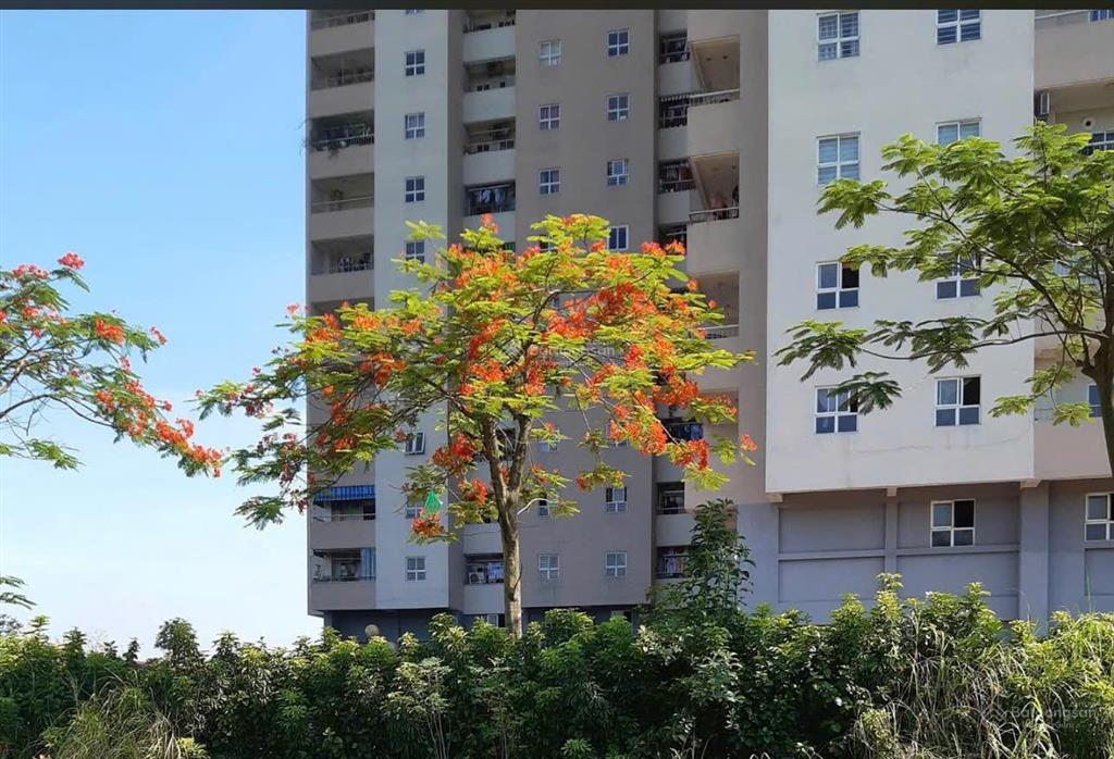 Cho thuê căn hộ 75m tại chung cư thạch bàn