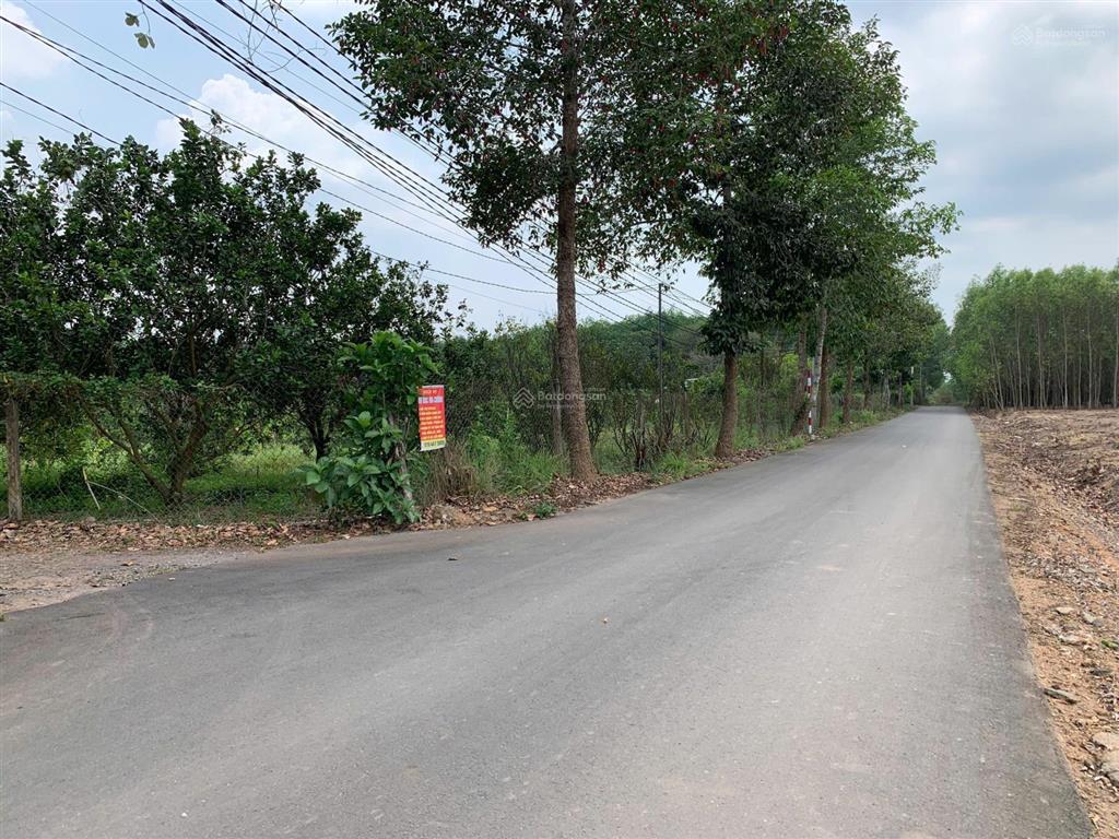 Cơ hội đầu tư đất vườn giá rẻ chính chủ xã trị an, vĩnh cửu, đường xóm huế dân cư đông