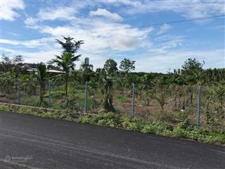 Bán nhà vườn nghỉ dưỡng, cây trái sum xêu, mua chỉ việc dọn vào ở