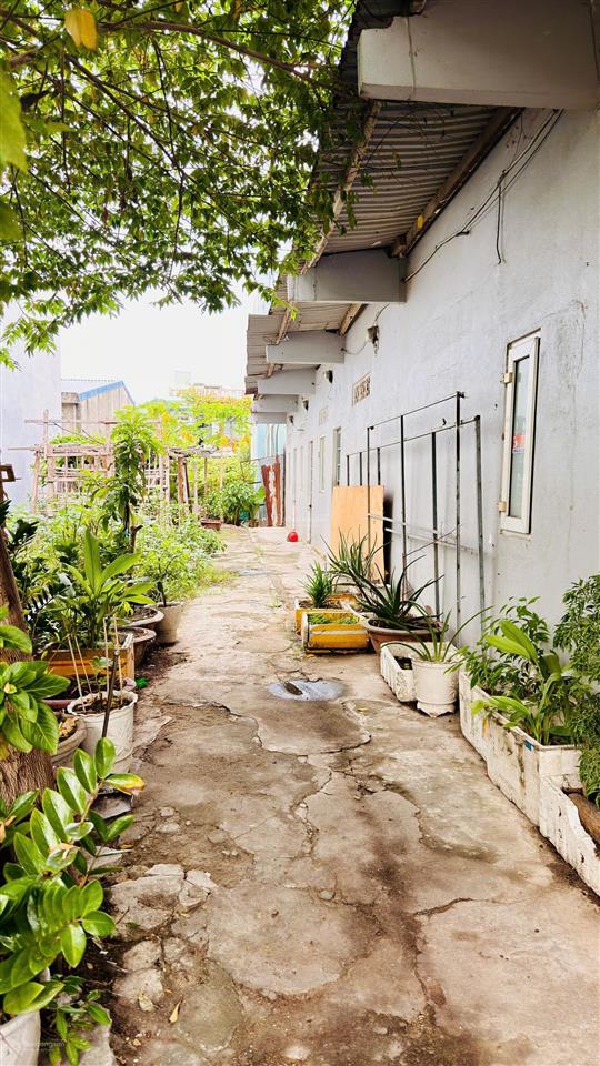 Bán nhà riêng tại hoàng tăng bí, 7,15 tỷ, 110m2, 3pn, 3wc
